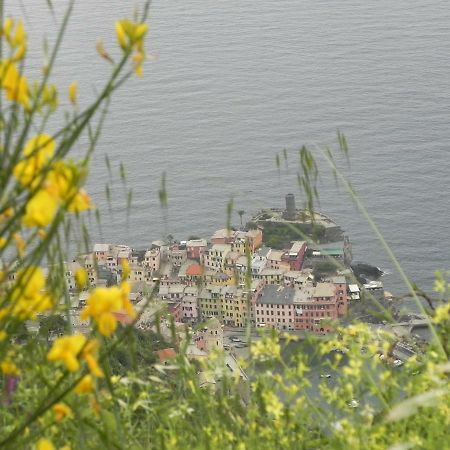 Ca Gialla De Drignana Vernazza Dış mekan fotoğraf