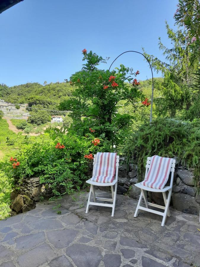 Ca Gialla De Drignana Vernazza Dış mekan fotoğraf