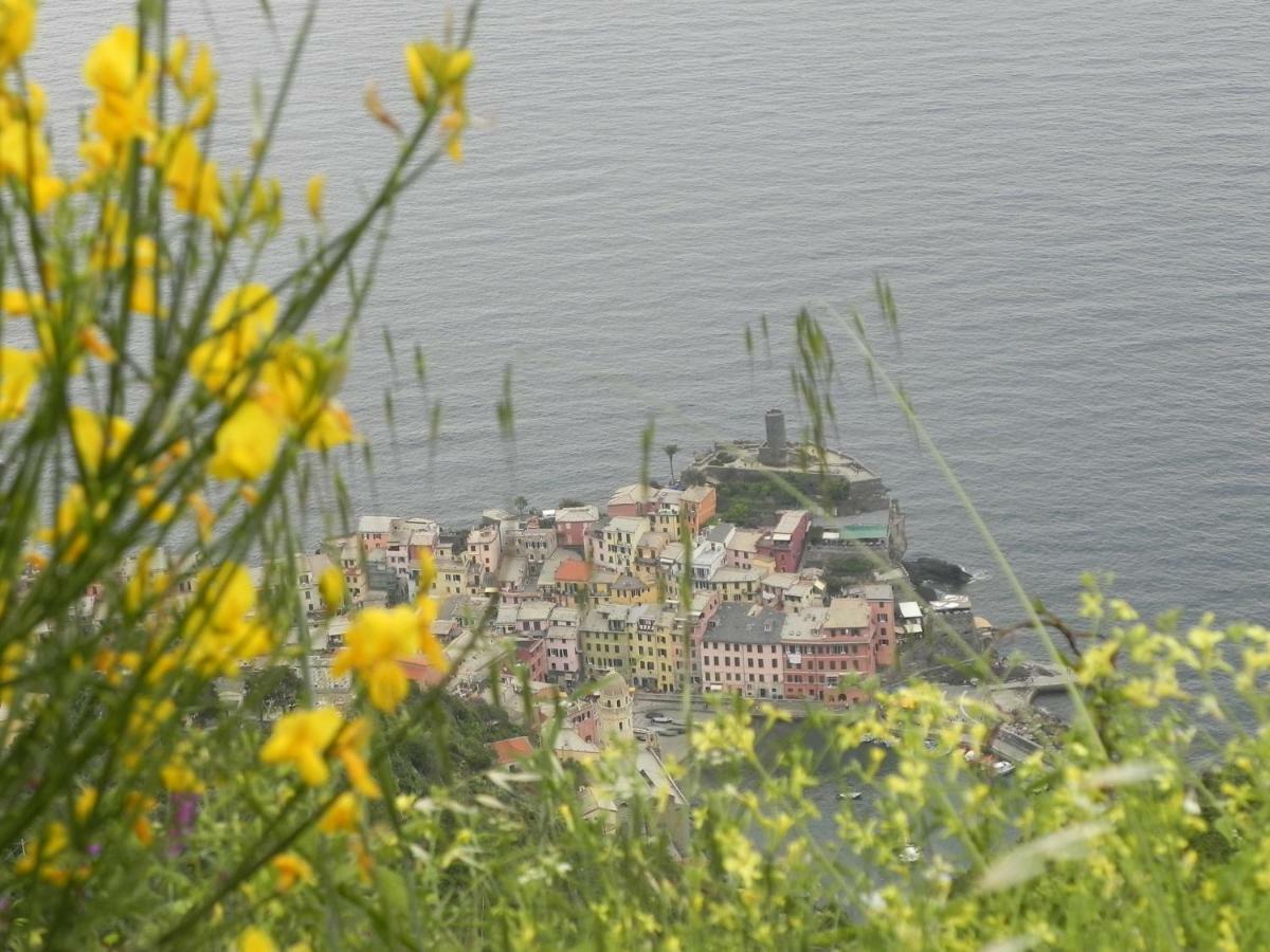 Ca Gialla De Drignana Vernazza Dış mekan fotoğraf