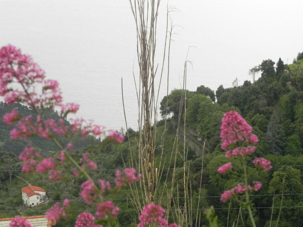 Ca Gialla De Drignana Vernazza Dış mekan fotoğraf
